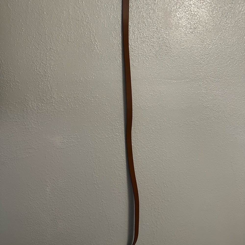 Bebe Brown Hook Wall Decor